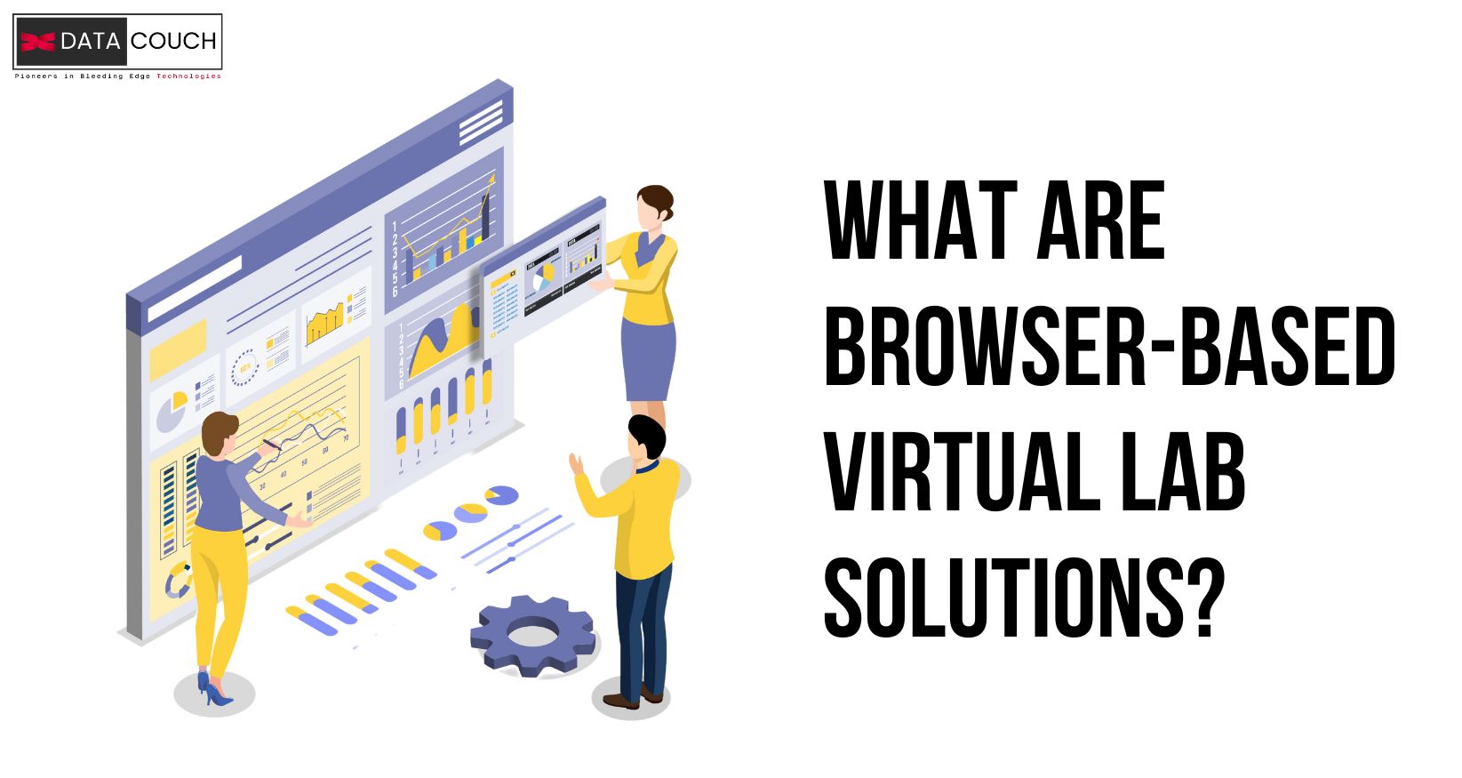 What are browser based lab solutions?