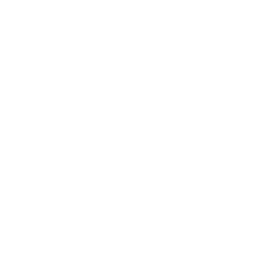 Security And Governance Professionals