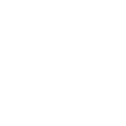 Data Analysts