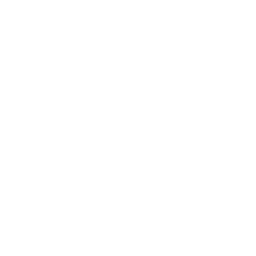 process