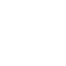 Analytics For Management