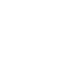 Personalized Training
