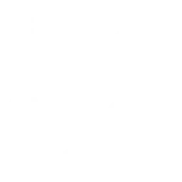 Personalized Training