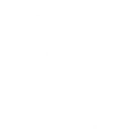 Faculty As Pioneers