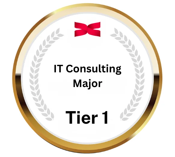 IT Consulting Major