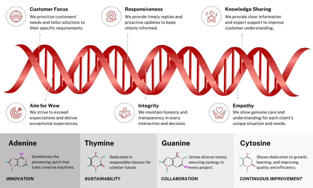 company-dna-values-and-principles-diagram