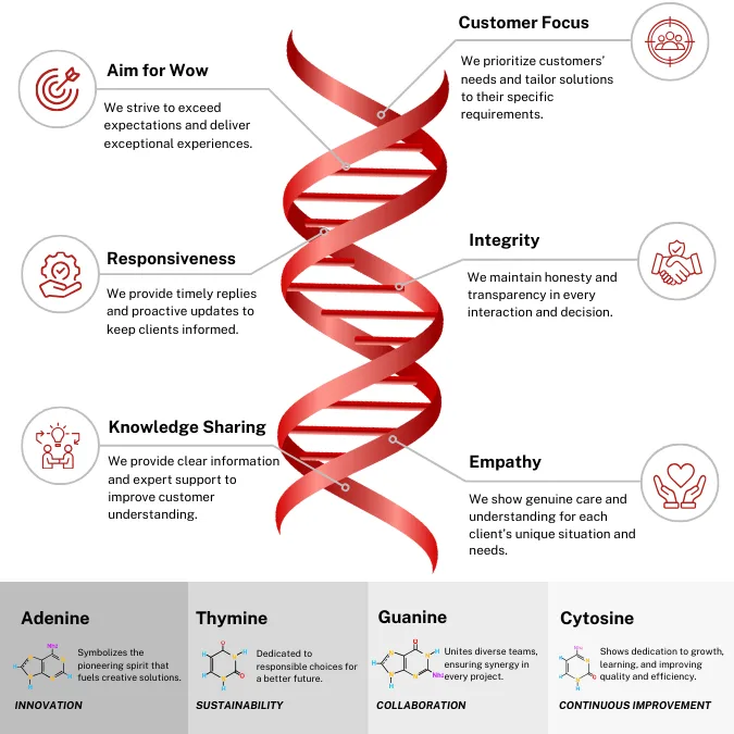 company-dna-values-and-principles-diagram